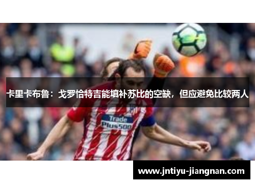 卡里卡布鲁：戈罗恰特吉能填补苏比的空缺，但应避免比较两人